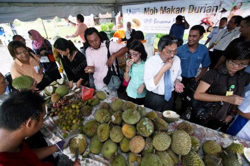 MOH MAKAN DURIAN UMP