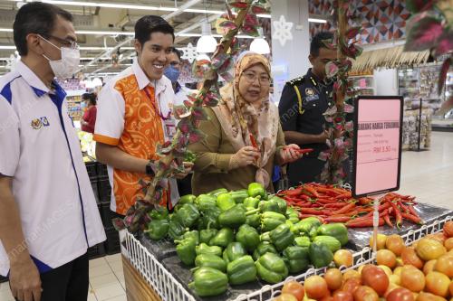 SENATOR FUZIAH SALLEH