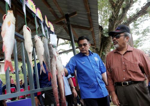 PH03_24032018_MEMANCING