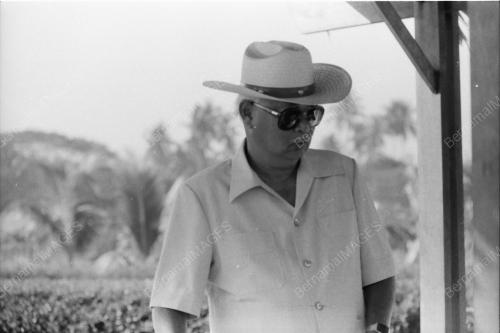 DATUK BANDAR