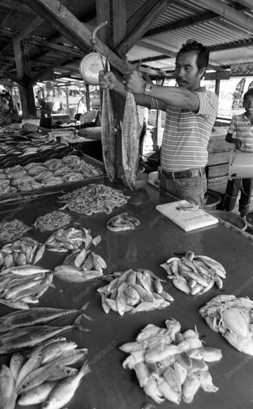 PH03_25062015_PASAR_TANI