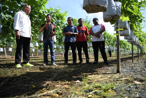 DATUK SERI SHAHIRUDDIN AB MOIN