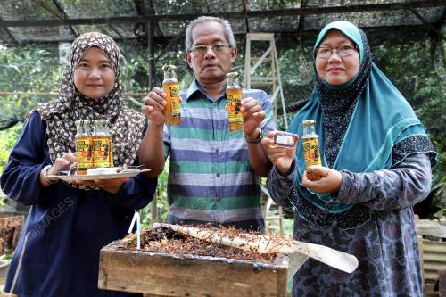 PH03_25092019_KELULUT