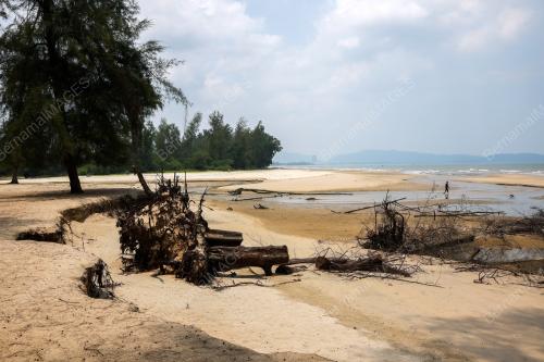 HAKISAN PANTAI