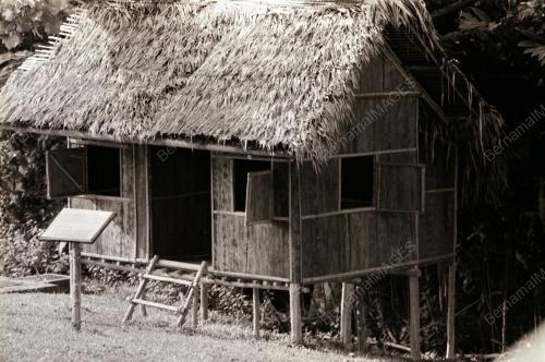SUKU KAUM ASLI BATEK KUALA TAHAN