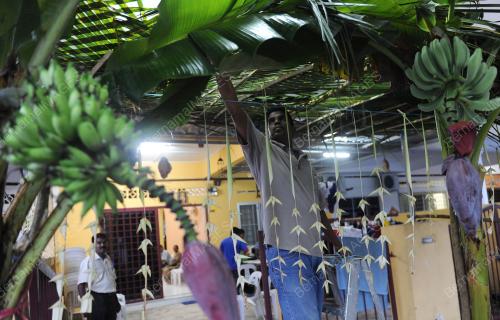 PH03_28012012_THAIPUSAM