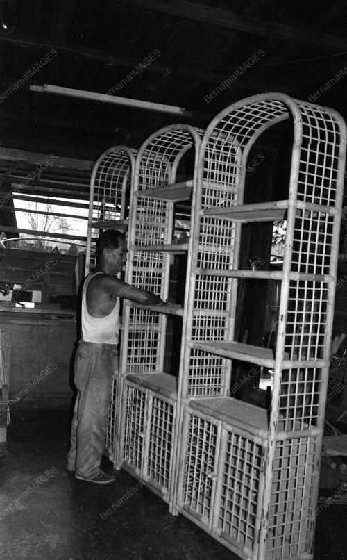 PH03_28012015_ROTAN