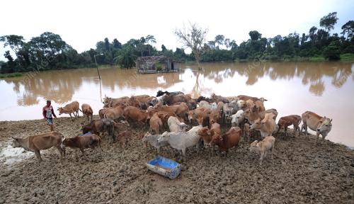PH03_28012017_BANJIR