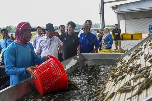 DATUK SERI MOHAMAD SABU
