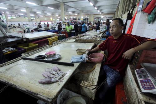 PH03_29122014_IKAN4