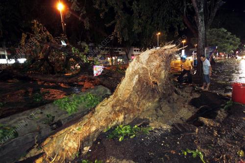 PH03_30032012_POKOK