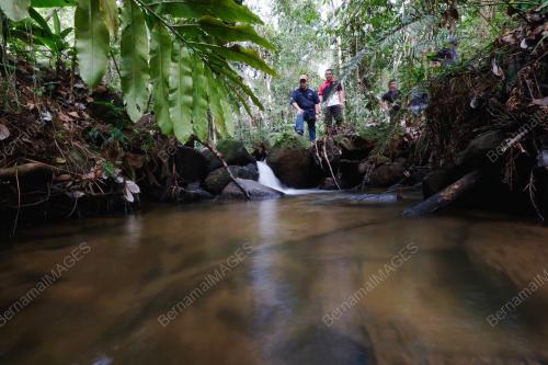 PH04_01032018_PEMBALAKAN