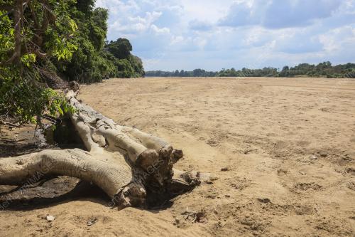 EL NINO : SUNGAI PAHANG SURUT & KERING