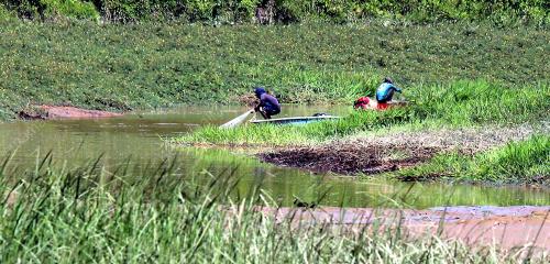 PH04_02032014_KEMARAU