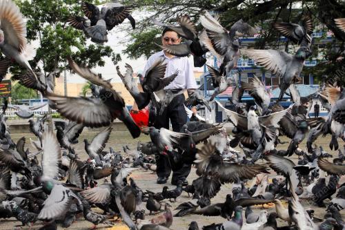 PH04_03122014_MERPATI
