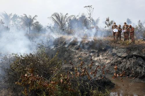 KEBAKARAN LADANG KELAPA