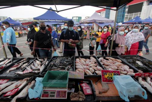 TINJAUAN DI PASAR TANI MASA PKPP