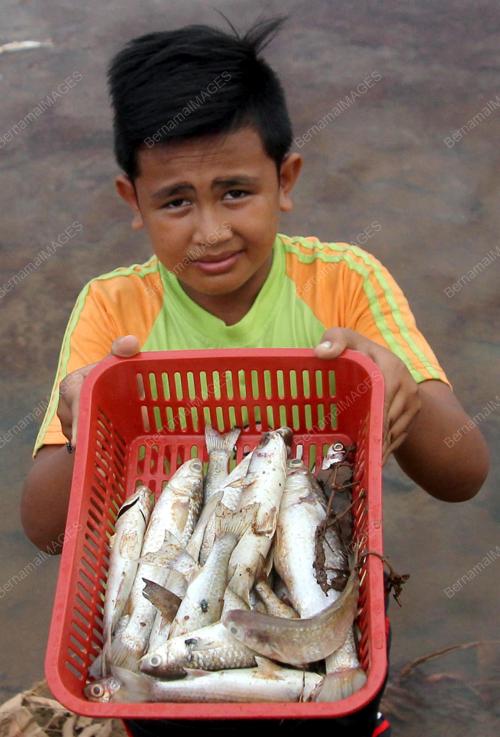 PH04_05012016_IKAN