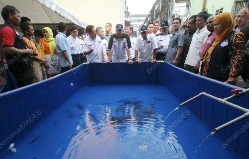 PILIHANRAYA UMUM KE-12