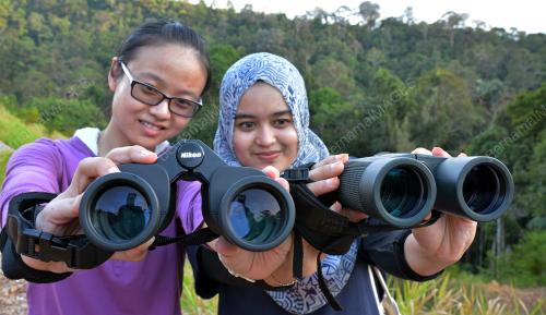 PH04_07032016_BIRD_COUNT