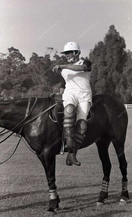 PERTANDINGAN POLO