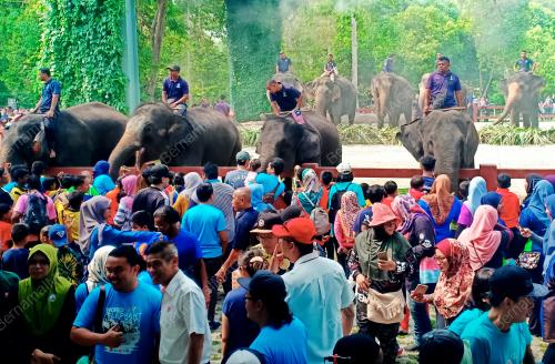 PH04_07092019_GAJAH