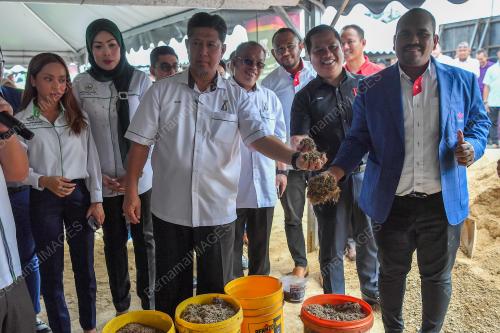 KMDI HOLDING SDN BHD