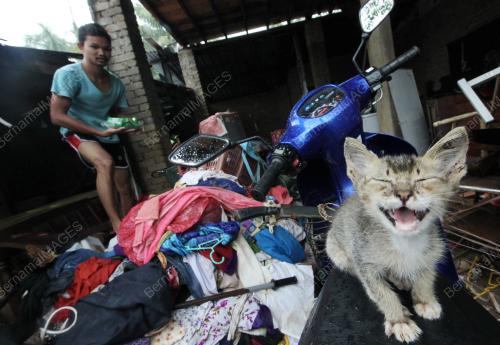 PH04_07122013_BANJIR3