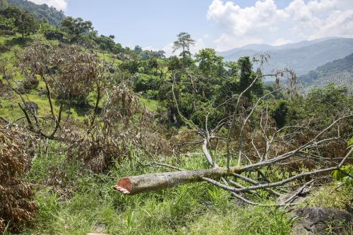 SULTAN PAHANG TINJAU LOKASI PENCEROBOHAN TANAH DI RAUB