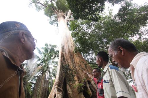 PH04_08122016_TUALANG
