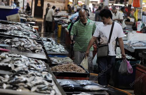 PH04_09012014_IKAN