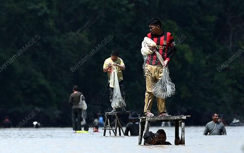 PESTA MENJALA IKAN