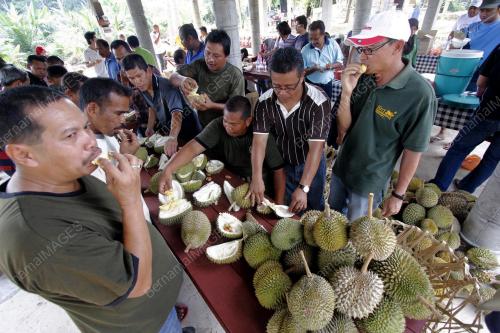 PH04_09072012_DURIAN