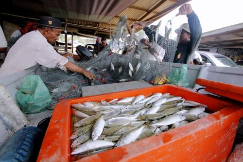 PH04_10072012_IKAN