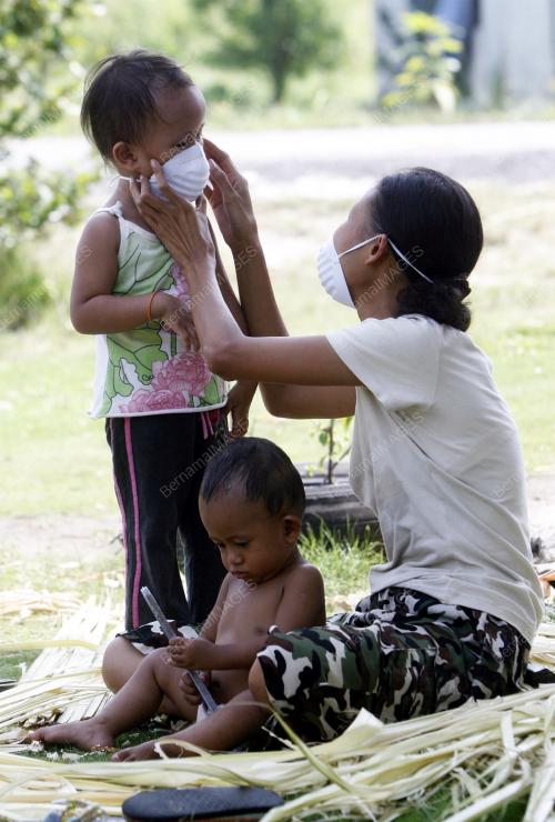 INFLUENZA A (H1N1)