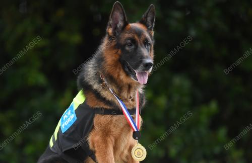 ANJING K9 POLIS PAHANG