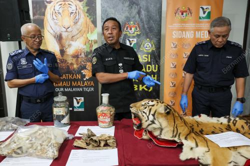 DATUK ABDUL KADIR ABU HASHIM