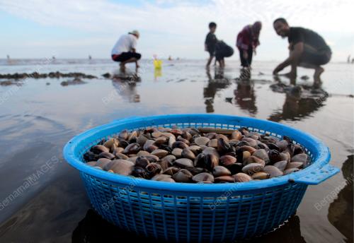 MENGISI MASA LAPANG CUTI UMUM MENCARI KEPAH