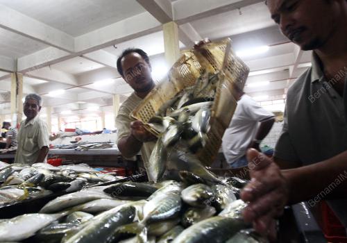 IKAN