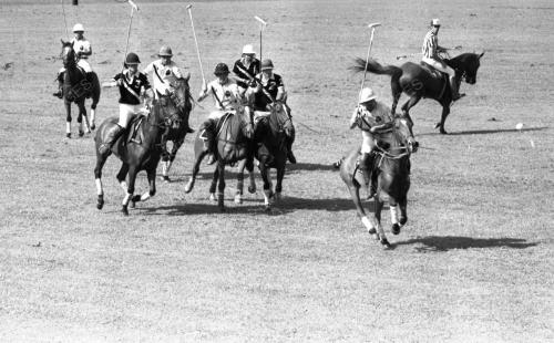 PH04_14072015_POLO