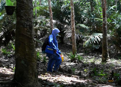 VAKSIN KAWASAN PEDALAMAN