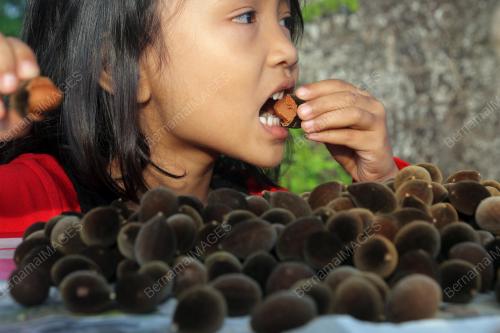 PH04_17102014_KERANJI