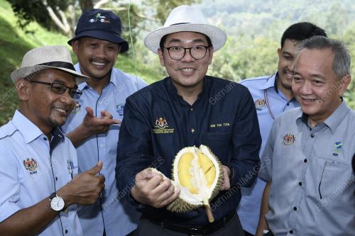 PH04_19082019_DURIAN_BN201908168190