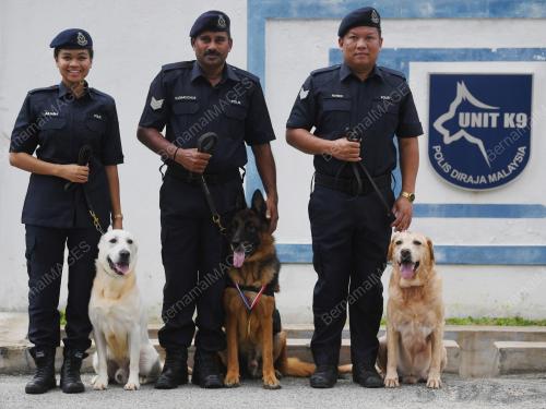 ANJING K9 POLIS PAHANG