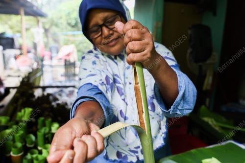 LEMANG TEPUNG