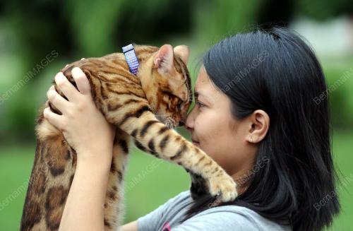 PH04_21122014_KUCING