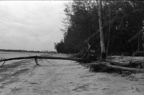 HAKISAN PANTAI