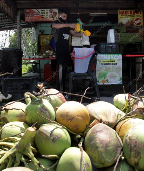 MENJUAL AIR KELAPA MUDA