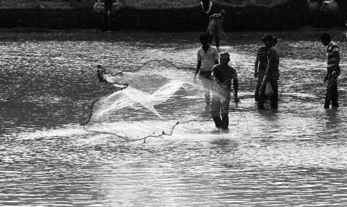 PH04_24062019_PROJEK_IKAN