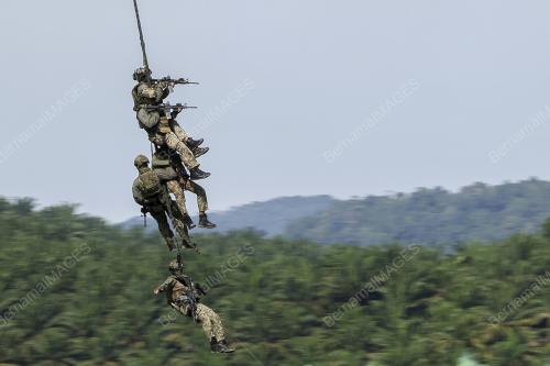 EKSESAIS JUNGLE FALCON TDM, UAELF 